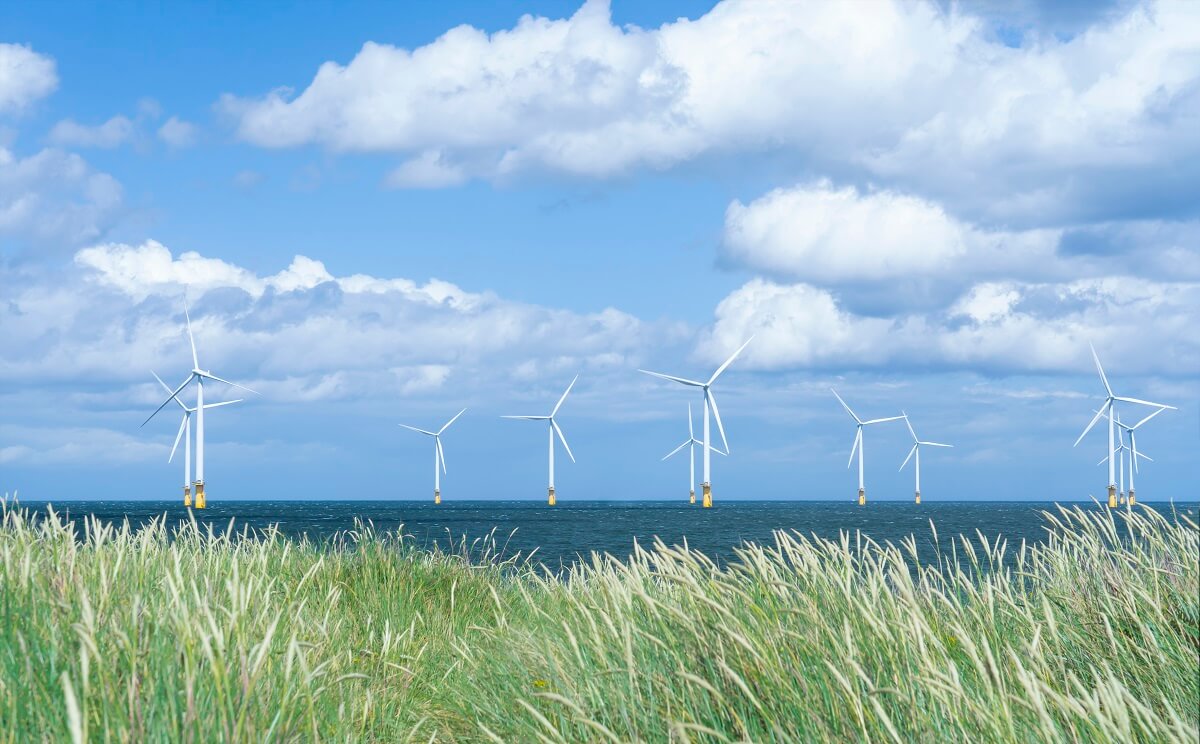Windmill turbines generate wind energy