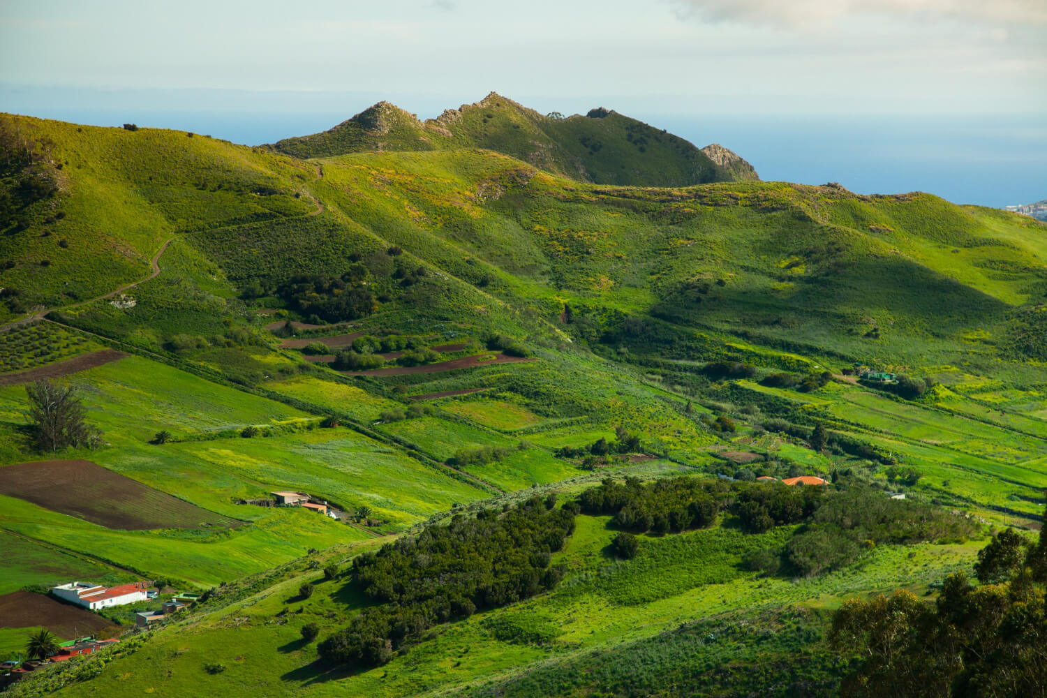 Canary Islands - which island is the greenest?