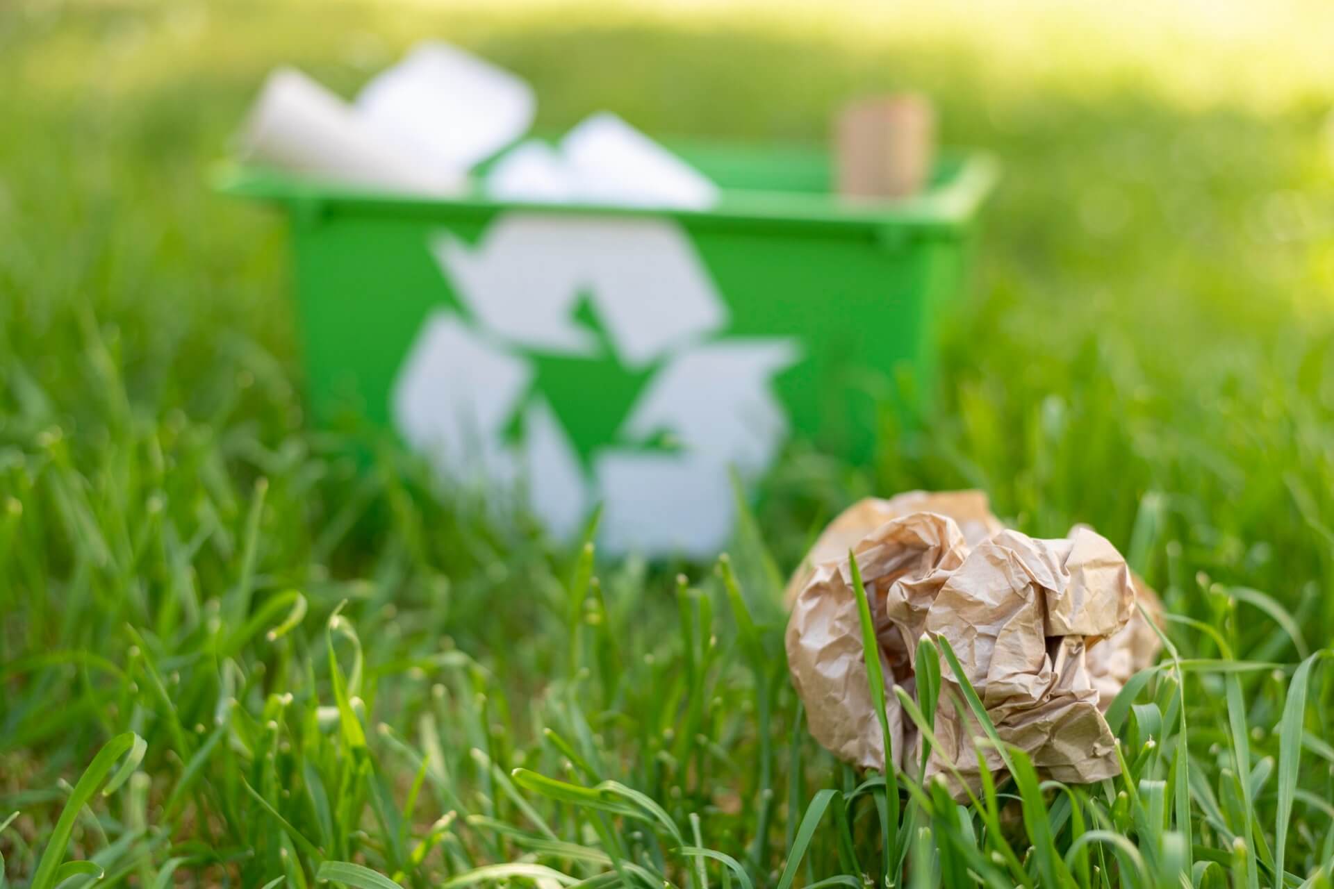 Tips For Minimizing Waste And Going Green