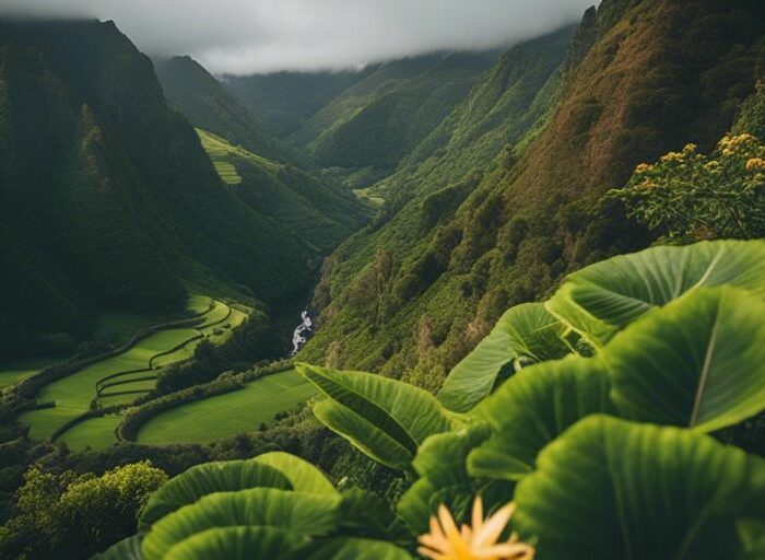 Discover The Enchanting Green Landscapes Of Madeira Island – A Nature Lover's Paradise