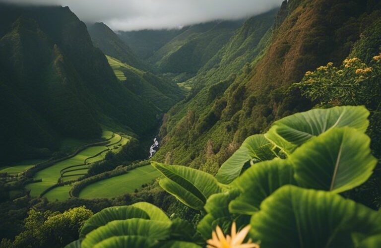 Discover The Enchanting Green Landscapes Of Madeira Island – A Nature Lover's Paradise