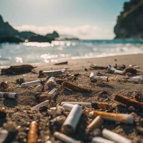 The Hidden Cost Of Cigarette Butts – How They Negative Impact Beach And Sea Environments